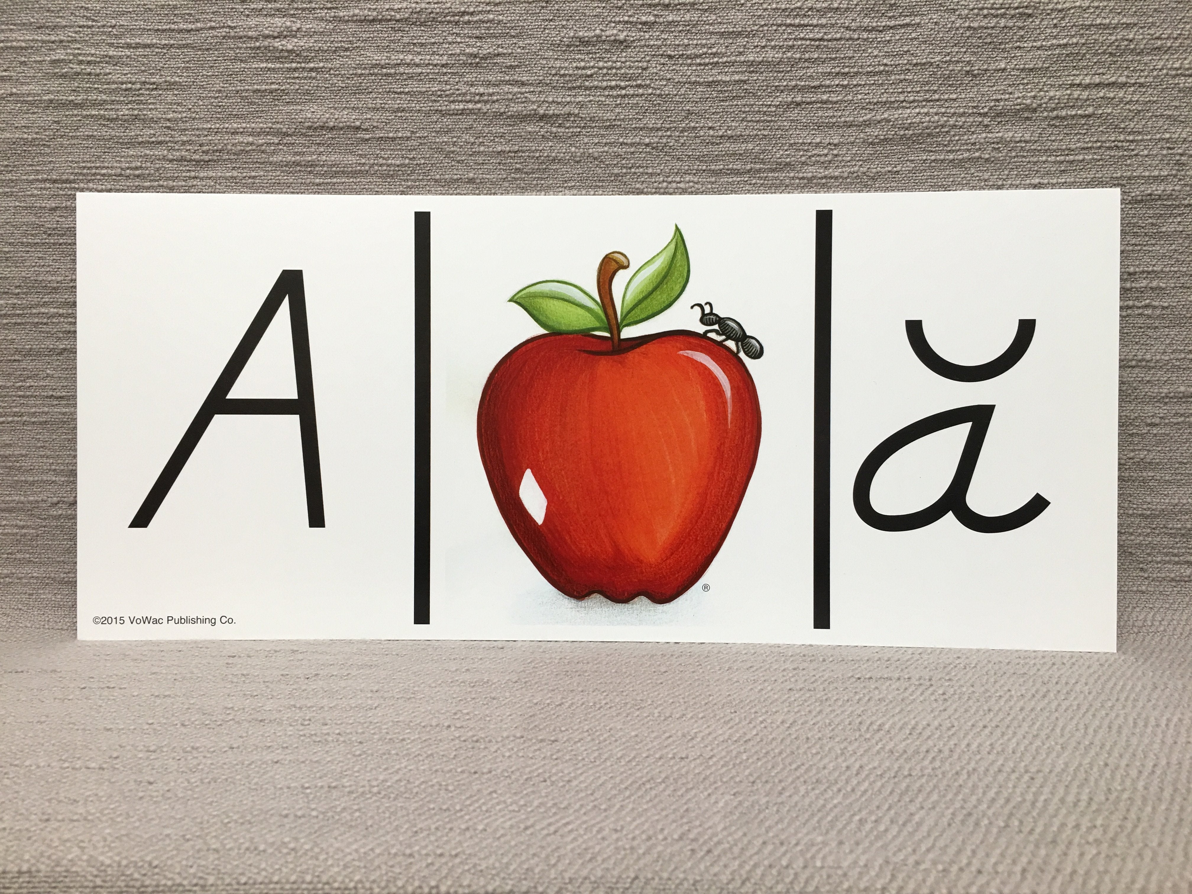 Kindergarten Alphabet Cards (K-Z) or (K-D)–